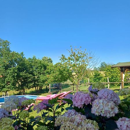 La Diligenza Bed & Breakfast Tagliolo Monferrato Exterior photo