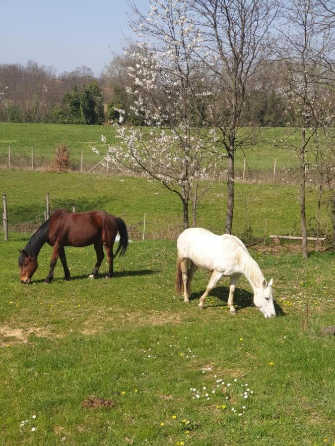 La Diligenza Bed & Breakfast Tagliolo Monferrato Exterior photo